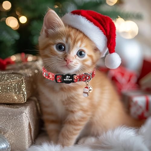 2 Pack Christmas Cat Collars - Breakaway Cat Collar with Bell, Candy Cane and Snowman Pendant, Winter Adjustable Kitten Collars for Girl Boy Cats, Blue&Red - color: Blue&Red