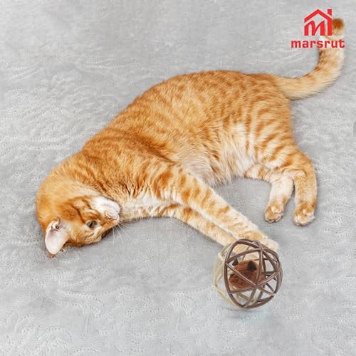 Squeaky Mouse Ball Cat Toy with Simulated Sound, Mouse Inside Cage, Squeky Balls for Cats to Play with Indoor, Squeak Interactive Plastic Funny Toys Best for Chewing Training Playing Chasing (Beige)