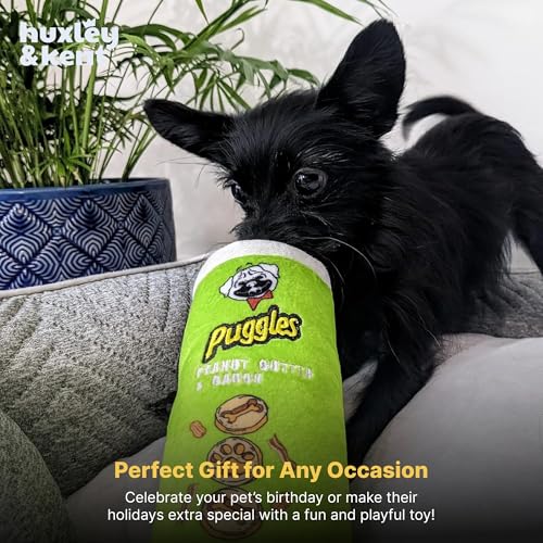 Huxley & Kent Funny Dog Toy w/Squeaker – Power Plush Squeaky Dog Toys for Small, Medium & Large Dogs – Soft Stuffed Animal for Indoor Play & Fetch - Puggles Can, Small - size: Small, style: Puggles Can