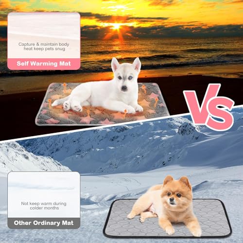 4 Pack Self Heating Cat Bed Cat Self Warming Pad with Removable Cover Extra Warm Thermal Pet Pad Washable Pet Crate Mat Anti Slip Kennel for Indoor Outdoor Pets(Star,16 x 20 Inches) - size: 16 x 20 Inches