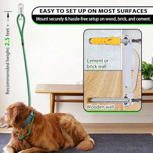Stainless Steel Dog Tie-Out Hook,Heavy Duty Wall Mounted Leash&Chain Anchor,Rust-Proof for Yard&Patio,Secure Dog Parking System for All Size Dogs - size: Large