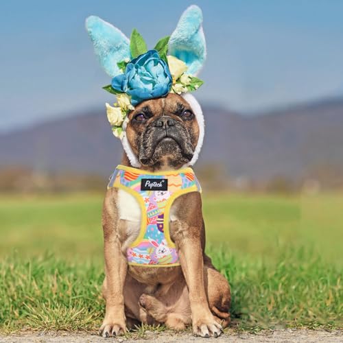 PUPTECK Dog Harness and Leash Set for Small Medium Dogs No Pull Step-in Soft Mesh Puppy Cat Vest Harnesses Reflective at Night, Easter Light Yellow, S - color: #3 LightYellow(Rabbit), size: S(CHEST 14.5"-16", 6.6-14 lbs)
