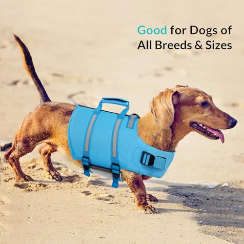 Queenmore Large Dog Swimming Life Jacket with Back Zip, Rescue Handle, Hook (Blue L) - color: Blue, size: Large