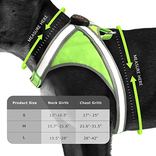 Light Up Dog Harness, High Visibility Led Dog Harness for Night Safety, USB Rechargeable Glowing Dog Harness for Night Walking, Flashing Dogs Harness for Small Medium Large Dogs (Green, S)