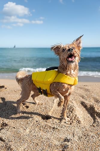 NOAH & PAW Dog Life Jacket, Human Standards Lifejacket Design, Dog Life Vest for Swimming and Boating, 3X Foam Support for Max Floating, Breathable Mesh, Salvavidas para Perros, Size S - size: S