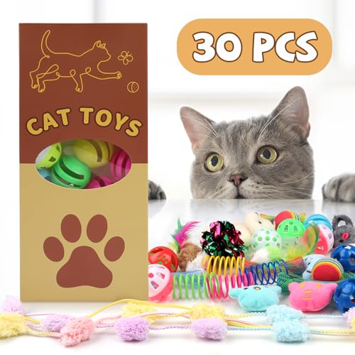 QUOZUO 30 Pcs Cat Toy Kitten Toys Set, Interactive Cat Toy Wand Cat Springs Ball Toy with Bells, Cat Toys for Bored Indoor Cats, Gift Box Styles