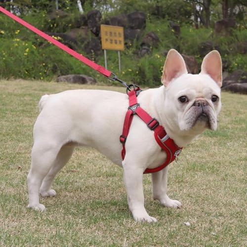 Dog Harness and Leash Set, Adjustable Triangle, Reflective Adjustable Puppy Vest, No Pull Soft Mesh Harness for Small, Medium Dogs, Cats (Red, S) - color: Red, size: S