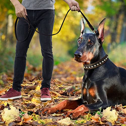 LWBMG Leather Dog Leash 6ft x 3/4 inch, Heavy Duty Genuine Leather Braided Dog Training Leash, Soft and Strong Pet Lead for Large, Medium, Small Dogs - color: Brown, size: 6 ft x 3/4 inch