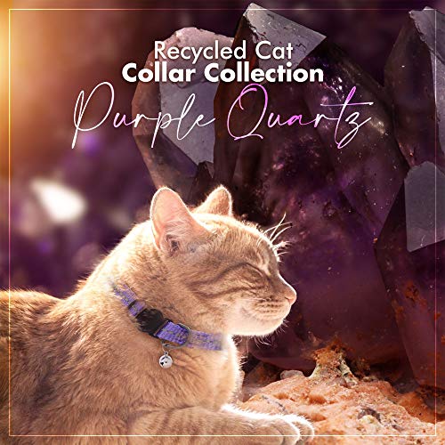 Pawtitas Recycled Purple Reflective Cat Collar – Eco-Friendly Breakaway Safety Buckle, Adjustable Kitten & Adult Collar with Removable Bell and High-Visibility Strap - color: Recycled Purple
