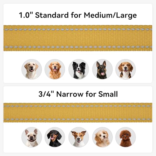 Joytale Dog Leash, 4 FT Double-Sided Reflective, Padded Handle Nylon Heavy Duty Leashes for Small Dogs Walking, Khaki - color: Khaki, size: 4 ft Narrow