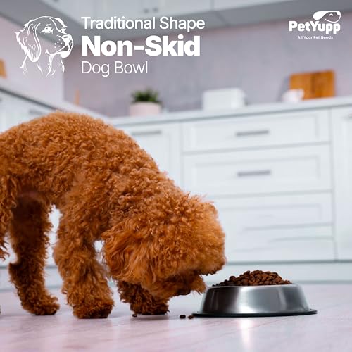 Stainless Steel Non Skid Dog Bowl – Non-Slip Rubber Base, Rust-Proof & Dishwasher Safe – Durable Food and Water Bowl for Small Dogs, Puppies & Kittens – 8oz - size: Non Skid Bowl - 8 oz