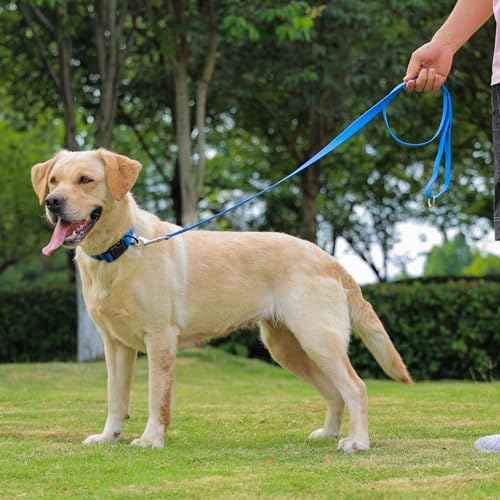 Waterproof Dog Collar, Easy to Clean Rubber Dog Collars with Quick Release Buckle Fits Small Medium or Large Dogs (Blue, M < 11.8-18.5 inch) - color: Blue, size: M (11.8-18.5 inch)