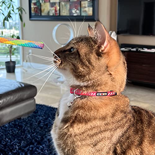 Pawtitas Personalized Teal Reflective Cat Collar – Adjustable Custom Collar with Safety Buckle, Removable Bell, and Engraved Name & Phone Number for Kittens and Adult Cats - color: Personalized Teal