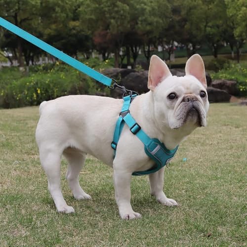 Dog Harness and Leash Set, Adjustable Triangle, Reflective Adjustable Puppy Vest, No Pull Soft Mesh Harness for Small, Medium Dogs, Cats (Turquoise, M) - color: Turquoise, size: M
