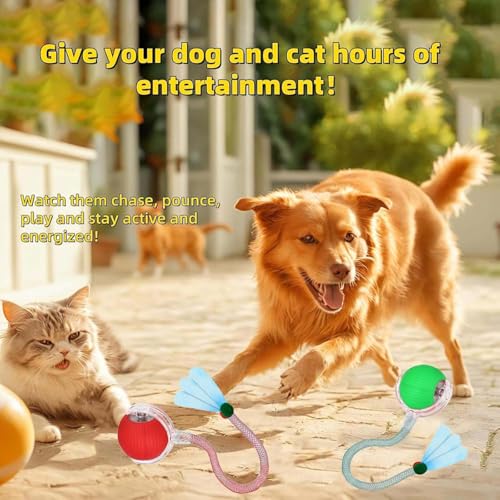 2 PCS Interactive Cat Toy Rolling Ball with Tail Chewie Viral Dog Ball, Smart Automatic Rolling Pet Balls,Automatic Moving Electric Cat Toy - color: Color2