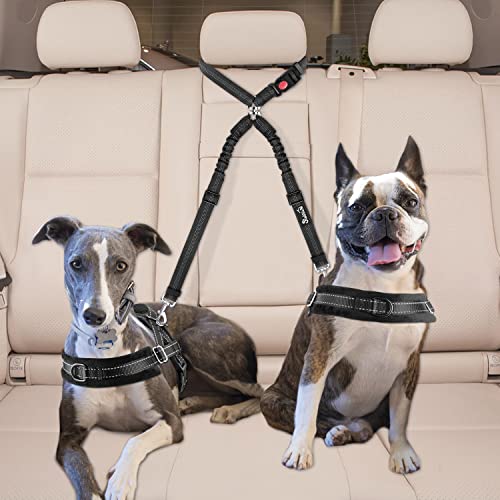 Lukovee Double Dog Seat Belt, New Dual Pet Car Headrest Restraint Safety Seatbelt No Tangle Dog Leash Duty Adjust Elastic Bungee Puppy Lead Splitter Connect Harness in Vehicle Travel for 2 Dogs,Black - color: Black