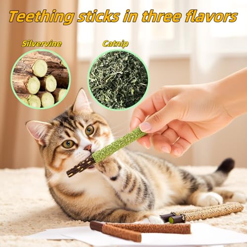 Cat Toys 12Pack Silvervine Chew Stick 12Pack Kitten Treat Catnip Toy Kitty Natural Stuff Catnip Matatabi for Cleaning Teeth Indoor Dental Snack Interactive - size: 12Pack