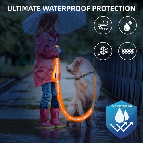 Light up Dog Leash for Night Walking - USB C Rechargeable - Waterproof - Dog Leash with Flashlight - LED Leashes for Dogs - 6Ft, Red - color: Red