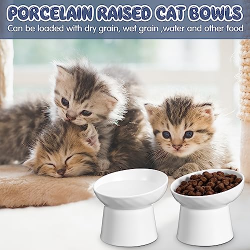 Tanlade 4 Pcs Ceramic Raised Cat Bowls, Elevated Tilted Cat Bowl for Food Water, Stress Free, Backflow Prevention, Dishwasher Microwave Safe, Feeder Dish for Indoor Kitten, Small Dogs(White) - color: White