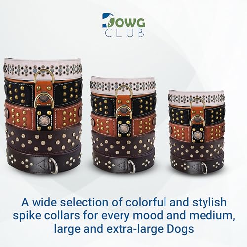 Genuine Leather ‘Cupola’ Series Dog Collar | Celtic Conchos & Gold Dome Rivets | Soft, Cushion Padding, Handmade | Best for Medium, Large, XL Breeds (M (Neck Size 14.5"-18.5"), Sable Black) - color: Sable Black, size: M (Neck Size 14.5"-18.5")