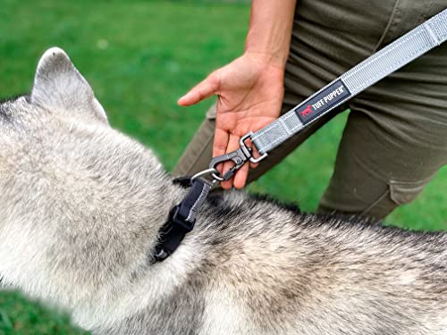 Tuff Pupper Heavy Duty Double Handle Leash | Twist Locking Carabiner Clip | Safety Lock for Strong Dogs | Reflective for Safe Night Walks | 6 Foot Leash | For Medium & Large Dogs - color: Steel Grey