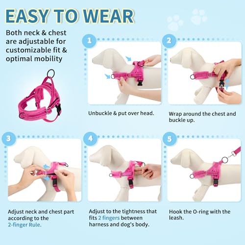 SlowTon No Pull Small Dog Harness and Leash Set, Puppy Soft Vest Harness Neck & Chest Adjustable, Reflective Lightweight Harness & Anti-Twist Pet Lead Combo for Small Medium Dogs (Fuchsia, S) - color: A-Fuchsia - With Front Clip, size: Small