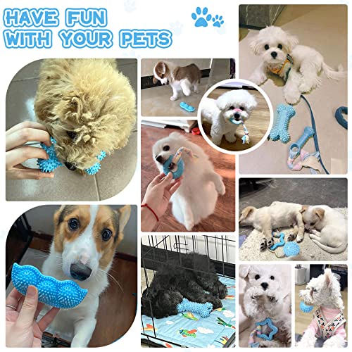 Petcare 6 Pack Puppy Chew Toys - Blue, Soft Rubber Rope & Bone Ball Teething Toys for Small Dogs & Puppies, Including Yorkie - color: Blue