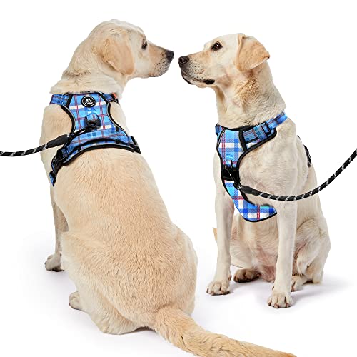 No Pull Dog Harness with Leash, Reflective No Choke Pet Vest Harness,Adjustable Soft Padded Dog Harness with Easy Control Handle for Small Dogs(Checkered Blue,Small) - color: Checkered Blue, size: 【S】neck 11-15" chest 15-21"