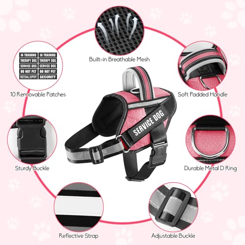 Service Dog Vest Harness and Leash Set, Animire in Training Dog Harness with 10 Dog Patches, Reflective Dog Leash with Soft Padded Handle for Small, Medium, Large, and Extra-Large Dogs - color: Rosy, size: XXS