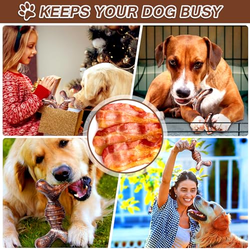 4-Pack Dog Chew Toys for Aggressive Chewers, Long Lasting Heavy Duty Chewing, Boredom and Stimulation for Medium Breeds, Tough Almost Indestructible Dog Bones Teeth Cleaning Toy - size: Large