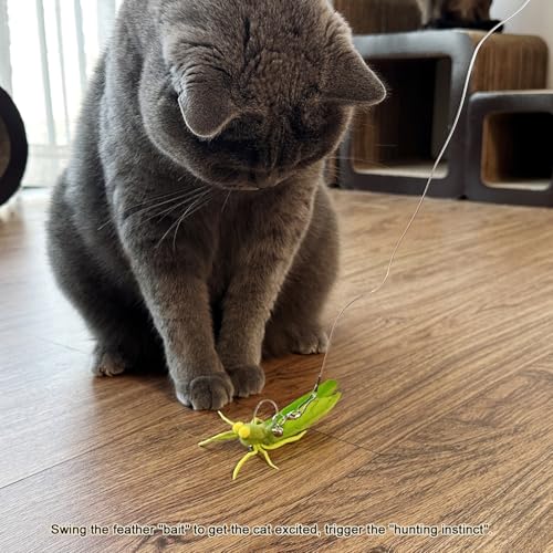 TTcat Feather Toys, 3 Pcs Simulation Insects Grasshopper Refills, Cat Toys Replacement Feathers for Cat Kitten Wand. - color: 3Pcs (Grasshoppers)