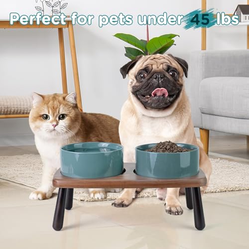 SPUNKYJUNKY Ceramic Elevated Dog Bowls Raised with Acacia Bamboo Wooden Stand, 6.1'' Dog Cat Food Water Bowls Set Non-Slip for Small Medium Sized Breed Microwave Dishwasher Safe - 28.7 OZ,Dark Green - color: Dark Green, size: 6.1 in - Dual