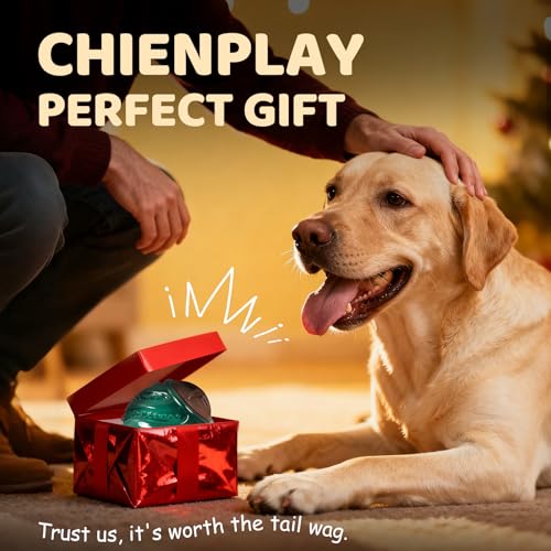Interactive Dog Toys with Built-in Treats: Rolling Lick Ball for Dogs, Beef Flavor Enrichment Dog Treat Toy to Keep Them Busy, Mental Stimulation Toys for Small Medium Large Breed, Indoor Outdoor Use