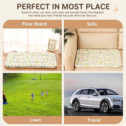 X-Small Crate Bed Pad - Super Soft Pancake Style Mat for Kennels, Ideal for Pet Beds, Machine Wash and Dryer Friendly, 22-Inch, Random Color