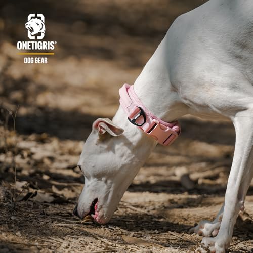 OneTigris Small Dog Collar with Handle, Soft and Adjustable Nylon Collar with Quick-Release Buckle, Lightweight No-Choke Design for Small Dogs(Pink, XS) - color: Pink, size: XS(10"-13")