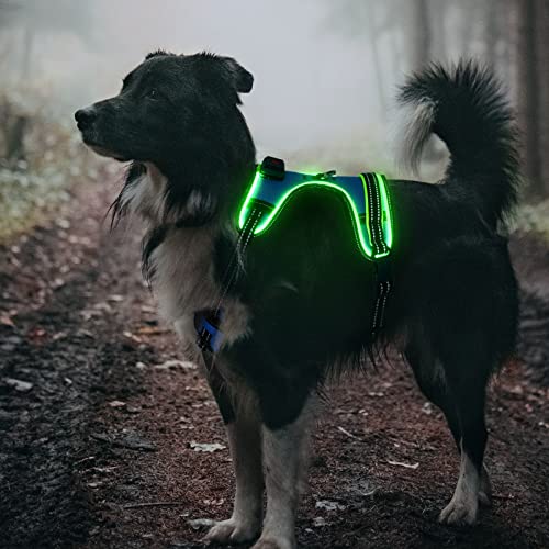 Safety LED Dog Harness - Light Up Dog Vest, No-Pull Dog Harness - Rechargeable Glowing Pet Harness for Night Walking & Camping (Blue+Green Light, Medium) - color: Blue+Green Light, size: Medium