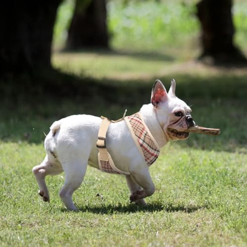 PUPTECK Soft Mesh Dog Harness and Leash Set Pet Puppy Cat Comfort Padded Vest No Pull Harnesses, Khaki, XS - color: Khaki, size: XS (NECK: 10", CHEST: 10"-14")