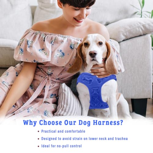 Comfort fit All Weather Step-in Dog Harness - Adjustable Small Dog Harness Medium Sized Dogs - Soft Padded Easy Walk Dog Vest Harnesses - color: Blue, size: S (Chest 12" - 15.5")