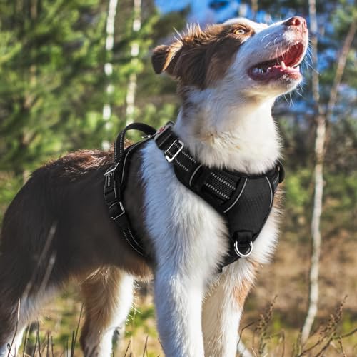 rabbitgoo Dog Harness Medium Sized, No Pull Dog Vest with 3 Buckles, Adjustable Soft Padded Pet Harness with Easy Control Handle and Reflective Strips, Black, M - color: Black, size: Medium