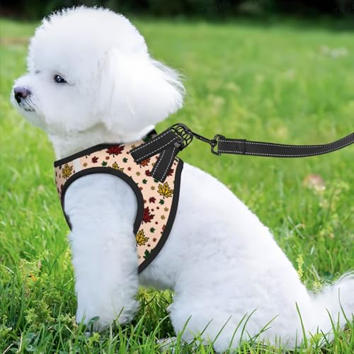Maple Leaves Pet Harness Escape Proof Dog Harness Adjustable Mesh Padded Reflective Dog Vest Harness and Leash Set Large - color: Style 2, size: Large
