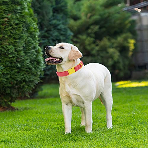 Maca Bates Dog Collar and Leash Set, Adjustable Solid Dog Collar and Leash for Small Medium Large Dog with Golden Metal Buckle - color: set-peach red, size: XS