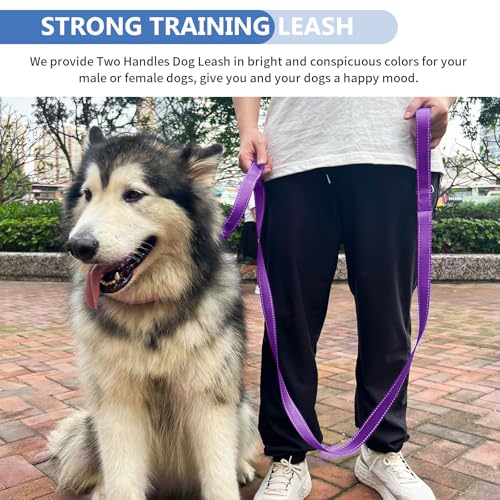 Strong Heavy Duty Dog Leash - 4ft Reflective Nylon Training Leash with Soft Padded Double Handle & Auto Lock Frog Clip, Safety Traffic Control for Large Medium Small Dogs No Pull Walking Purple,4ft - color: Purple, size: 4FT x 1" x 2.8MM