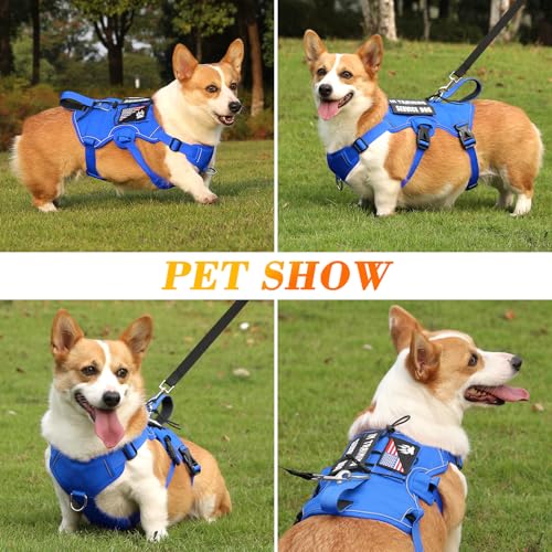Escape Proof Dog Harness, Soft Padded Full Body Pet Harness, Reflective No Pull Dog Harness with Handle and 2 Leash Clips for Small Dogs Walking Hiking Training (Blue,S)
