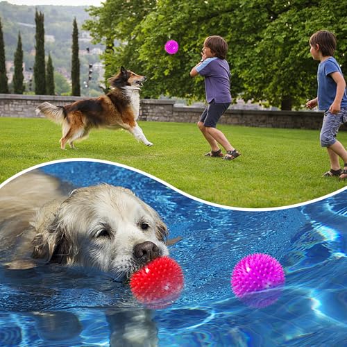 2 Pack 4.5” Squeaky Dog Balls for Large and Medium Dogs, Spiky Dog Toy Balls for Aggressive Chewers - color: Large Set of 2