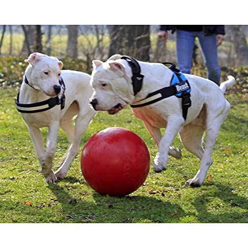 Jolly Pets Push-n-Play Ball Dog Toy, 4.5 Inches/Small, Red - color: Red, size: Small (4.5 in)