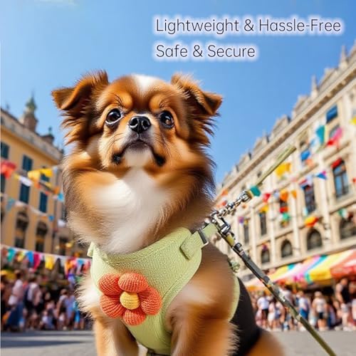 Cute Small Dog Harness with Daisy Embroidery, Breathable Dog Vest Adjustable Pet Puppy Harness Suitable for Walking, Running, Training, Everyday Wear - color: Green, size: L