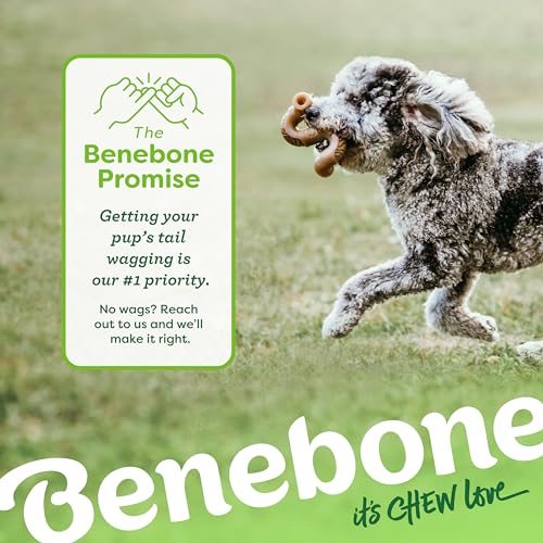 Benebone Tripe Bone Durable Dog Chew Toy for Aggressive Chewers, REAL Beef, Made in USA, Medium - size: Medium, style: Chew Toy