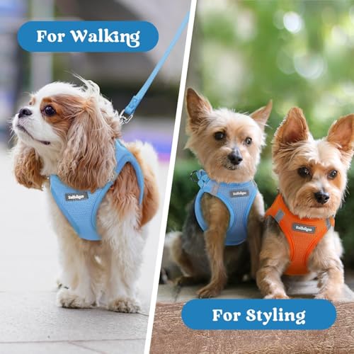 rabbitgoo Small Dog Harness, Step-in Soft Mesh Puppy Vest with Safety Buckle, Breathable Reflective Pet Harness for Small Sized Dogs, Blue XS - color: Blue, size: Xs(chest:13.3"-15.5")