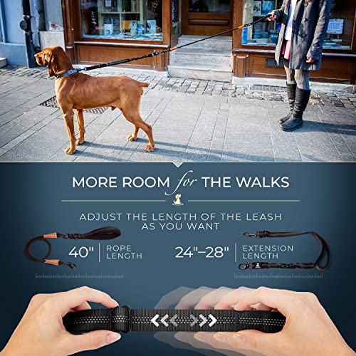 SparklyPets - Heavy Duty Bungee Rope Leash for Large and Medium Dogs - No Pull, Shock Absorber Long Dog Training Lead - No Slip Reflective Line for Outside (5.5 Ft Bungee Leash) - color: Adjustable Premium Gold