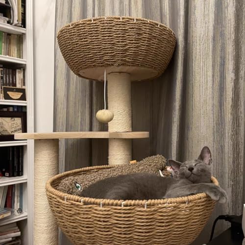 Modern Wood Cat Tree for Large Cats,Luxury Rattan Oak Solid Cat Trees Towers,3 Weaving Cat Nests & Washable Cushions, Sisal Scratching Posts,Cat Condo for Indoor Cats, Varnish, Easy Clean (Large-O1) - size: Large-O1